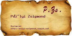 Pályi Zsigmond névjegykártya